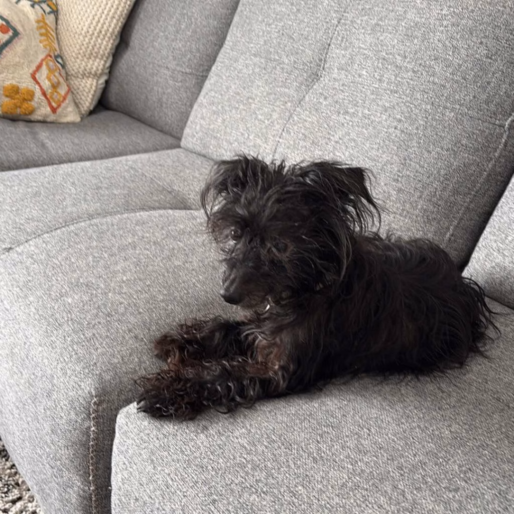 Garde d'animaux - Margot - Pet Sitting